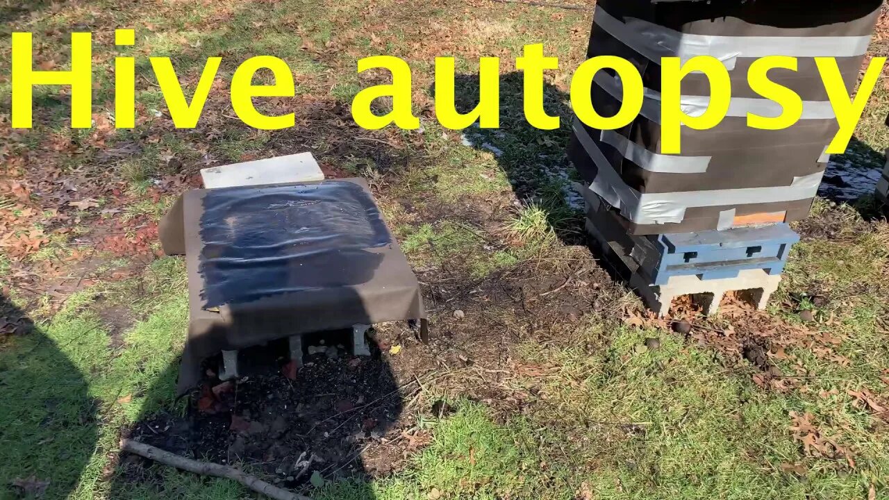 Feb 16, 2020 Bee Hive Autopsy - Dead Out Inspection