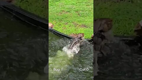 **Title: Funniest Pet Fails! 😂🐾**