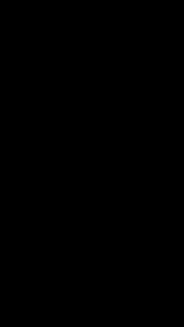 Joe Biden in the polls