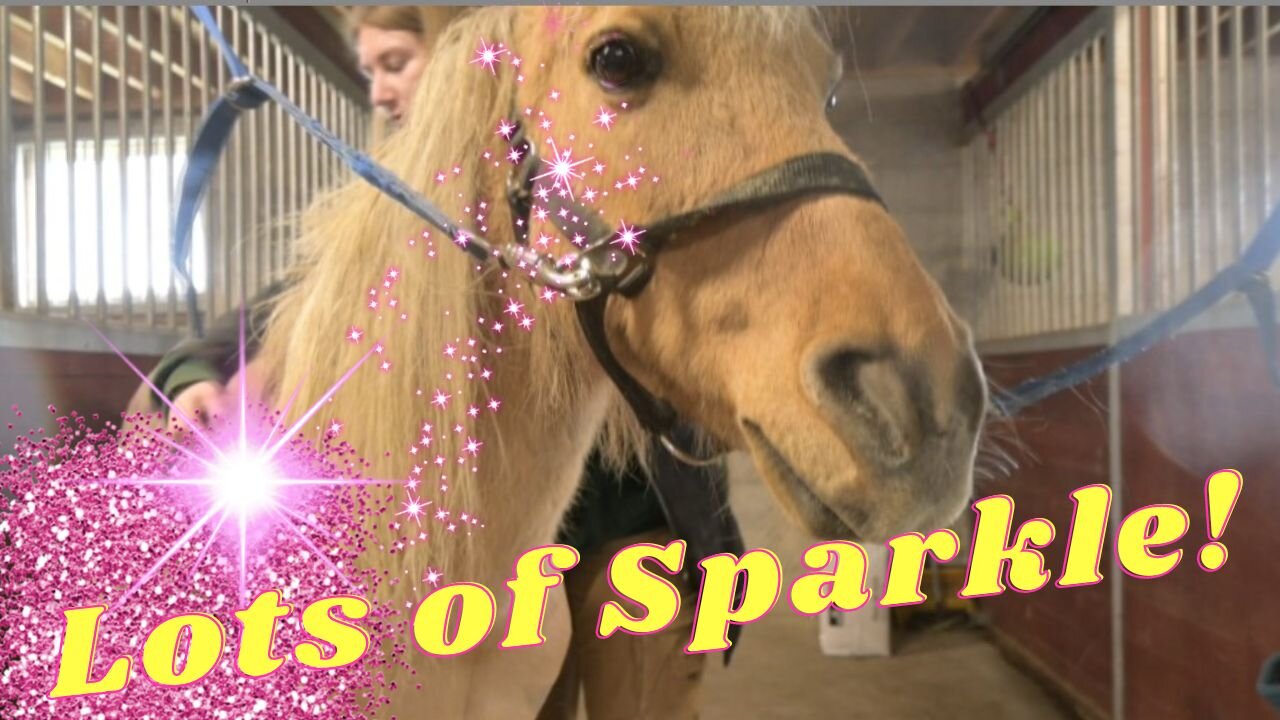 Glamorizing Our Pony!
