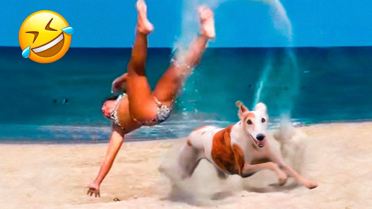 Funny Dogs And Cats Videos 2023 😅👌 - Best Animal Videos Of The Month 😄