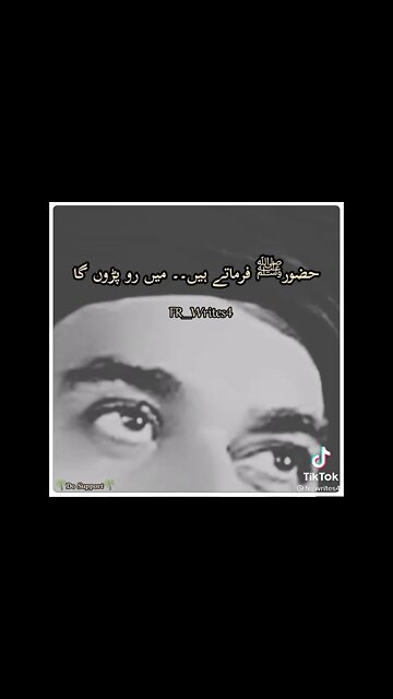 allama hafiz khadim hussan rizvi