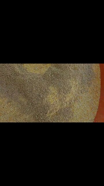 Ração de milho + Soja