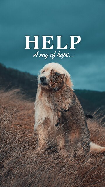 Inspiring People To Brighten Up Their World With Helping Hand