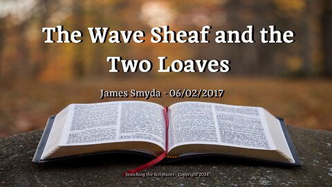 James Smyda - The Wave Sheaf and The Two Wave Loaves