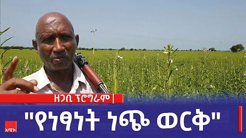 "የነፃነት ነጭ ወርቅ" ዘጋቢ ፕሮግራም