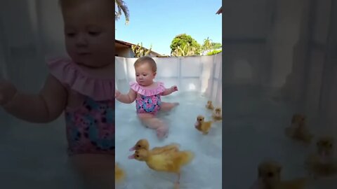 👶Baby Playing with 🦆Ducklings in the Water #shorts