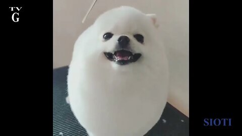 16 April