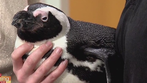 Holiday Happenings at The Florida Aquarium!