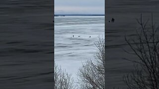 Tuesday afternoon ice fishing on Lake Superior.