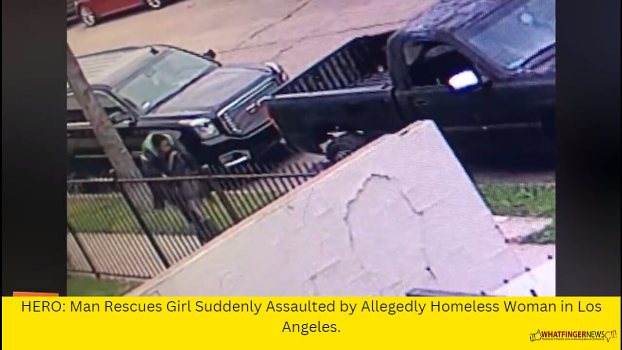 HERO: Man Rescues Girl Suddenly Assaulted by Allegedly Homeless Woman in Los Angeles.