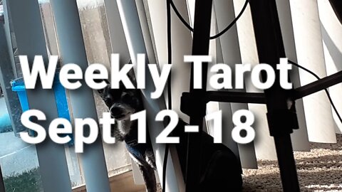 Weekly Tarot!!!