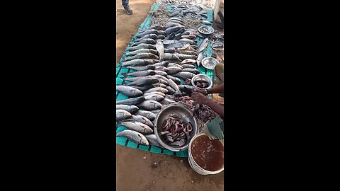 fish Market India #fish #viral #shorts #trending
