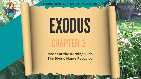 Exodus Chapter 3 | NRSV Bible Reading