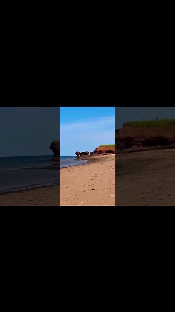 Tea cup rock from Twin Shores PEI