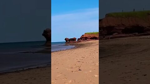 Tea cup rock from Twin Shores PEI