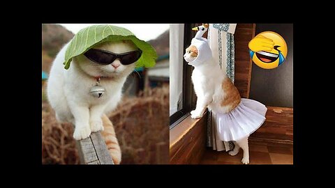 Cute and funny Animal Video 😂|| Funniest Viral Puppy Cat clips😹||