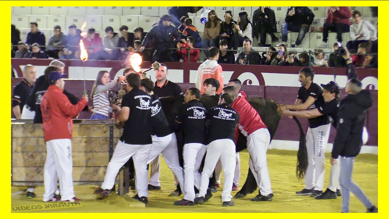 TARAZONA ( ZARAGOZA ) NOCHE TORO DE RONDA ( DOMINGO 23 ABRIL 2023 ) GANAD.ARRIAZU