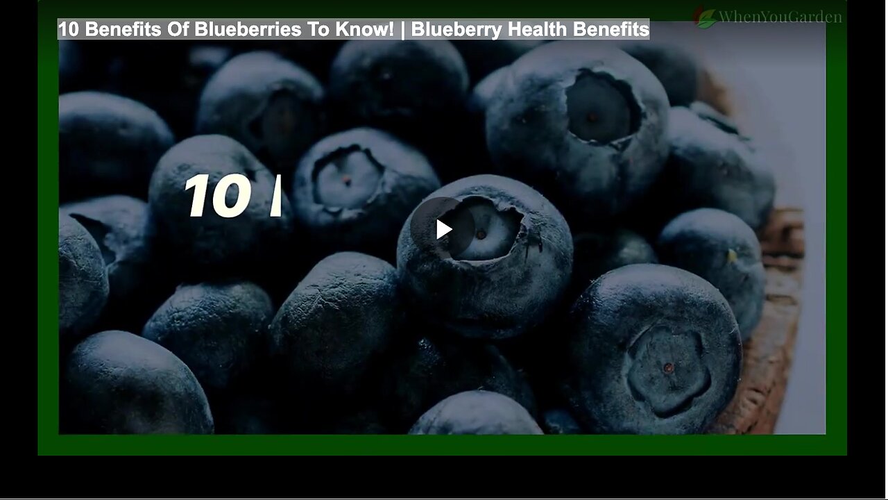 10 Benefits Of Blueberries To Know! | Blueberry Health Benefits