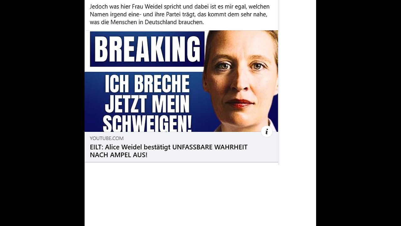 Frau Weidel spricht aus, was Deutschland wohl braucht.