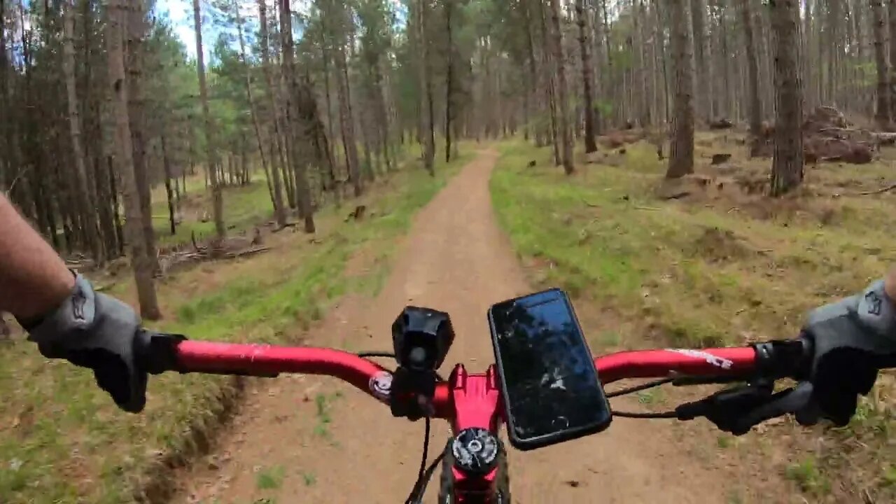 Days River Rippin 48 ( FATBACK RHINO )