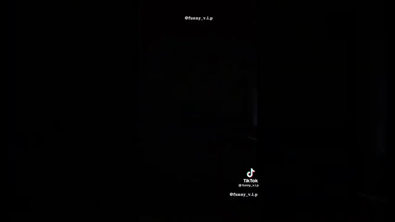 Funny Cats 🤣