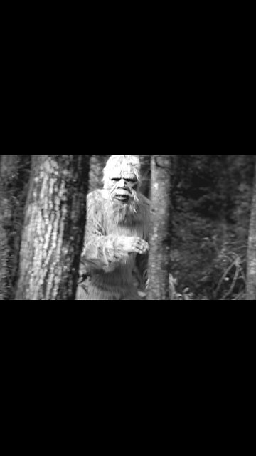 Real footage towards the end yeti footage #caughtoncamera #mythicalcreature