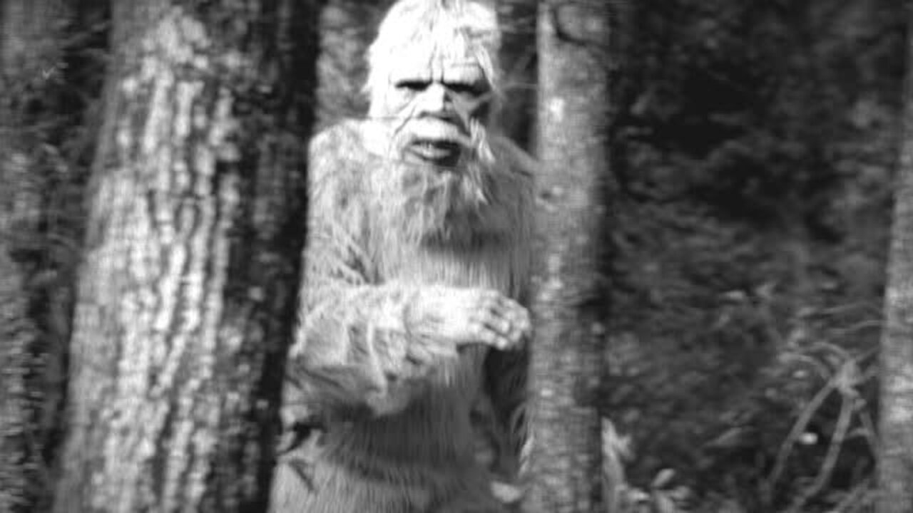 Real footage towards the end yeti footage #caughtoncamera #mythicalcreature