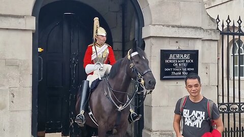 Don't hold the reins #horseguardsparade