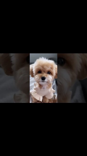 Do you wanna know the secret? I love you ❤️