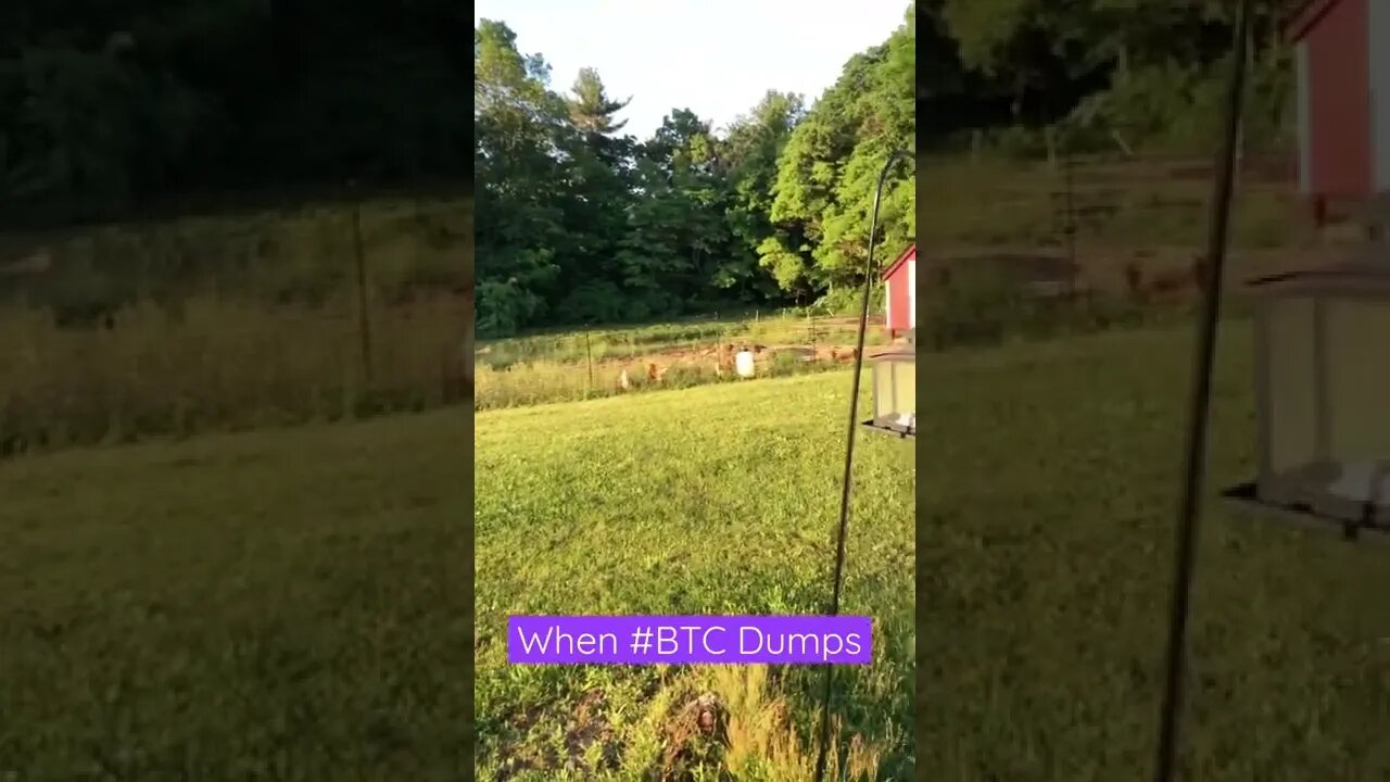 ðŸ˜When #bitcoin dumps over night ðŸ˜#bitcoindump