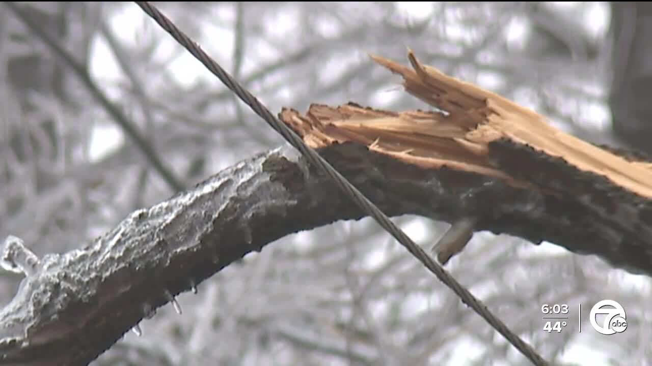 Families in Livonia make due without power