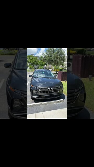 What I Pay Per Month On My Car Lease 2021