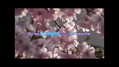 Alain Bashung - Immortels - Karaoke