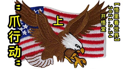 KWT1165(上)"爪行动"20210224-7【悟里看世界】