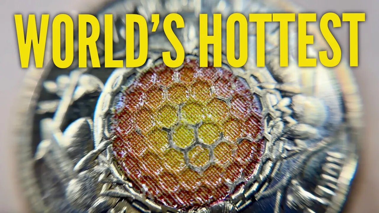 The World's Most Beautiful Coin - $2 Honey Bee