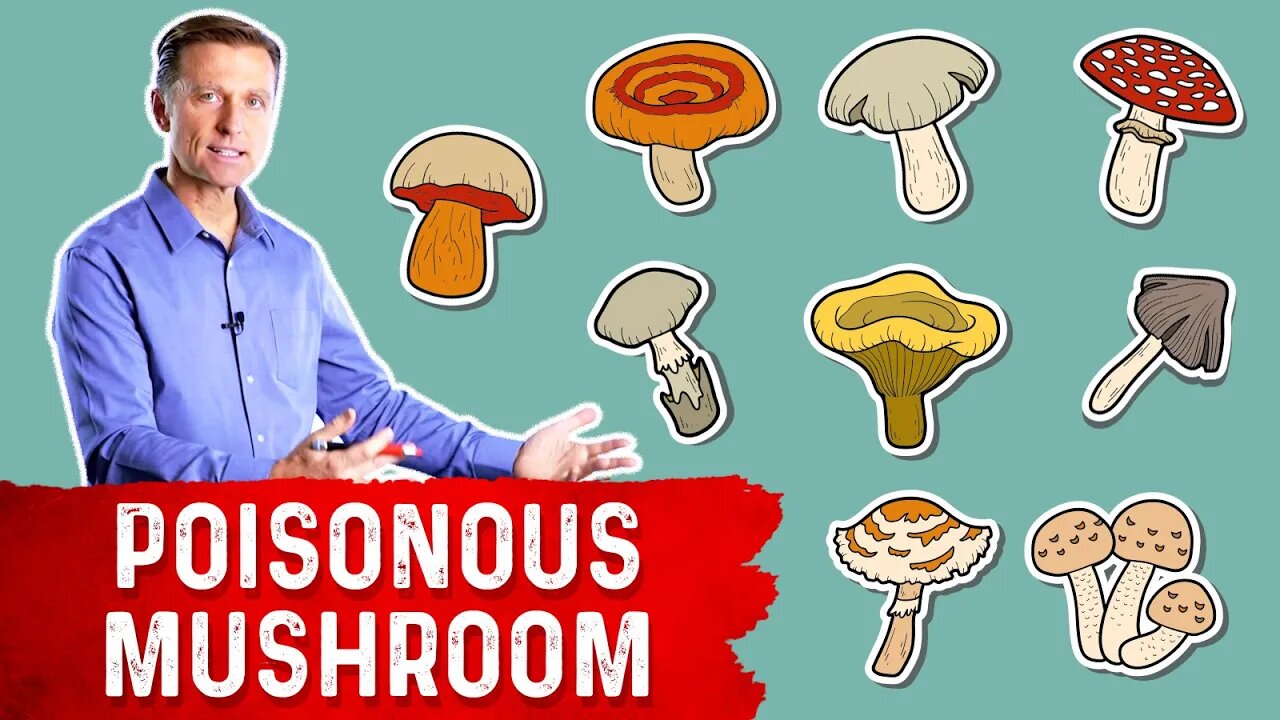 The Most Deadly Mushroom and Its Antidote