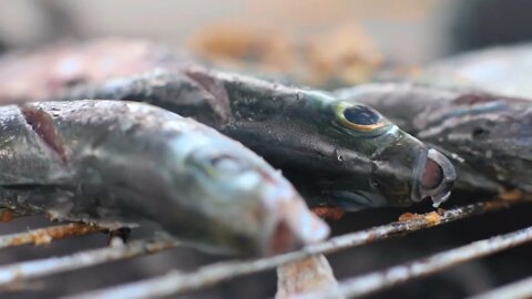 Close up shot of cooking fish Roasting marinated fish on barbecue grill