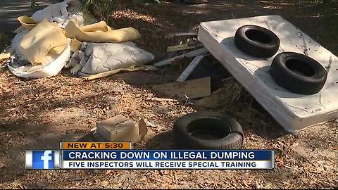 City of Tampa to form environmental taskforce to target, prosecute illegal dumping violators