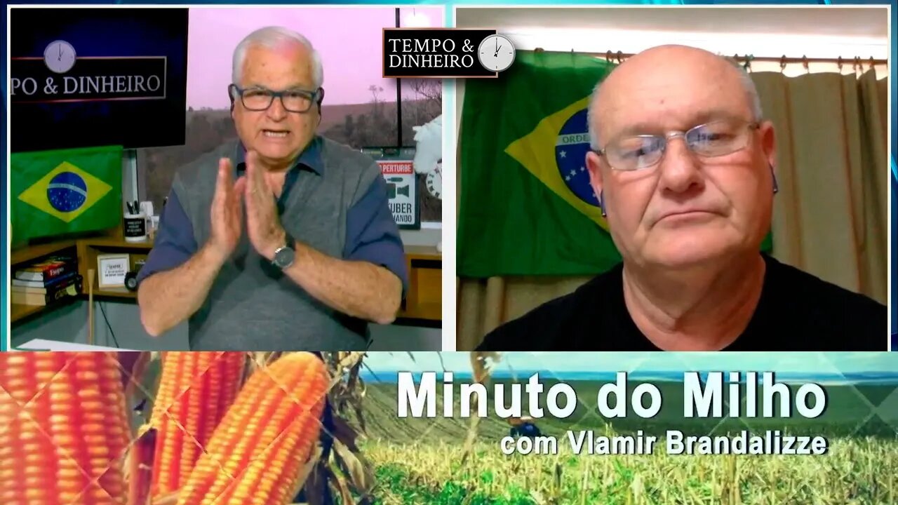 Milho teve safra menor nos EUA e maior na China