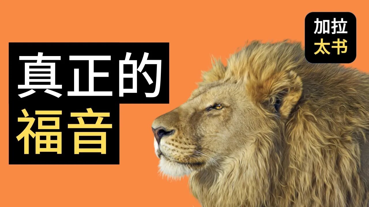 【大鸟 读经分享#10】 真正的福音 加拉太书 1:11-12