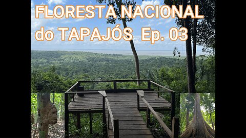 FLORESTA NACIONAL do TAPAJÓS #tapajós #alterdochao #amazônia