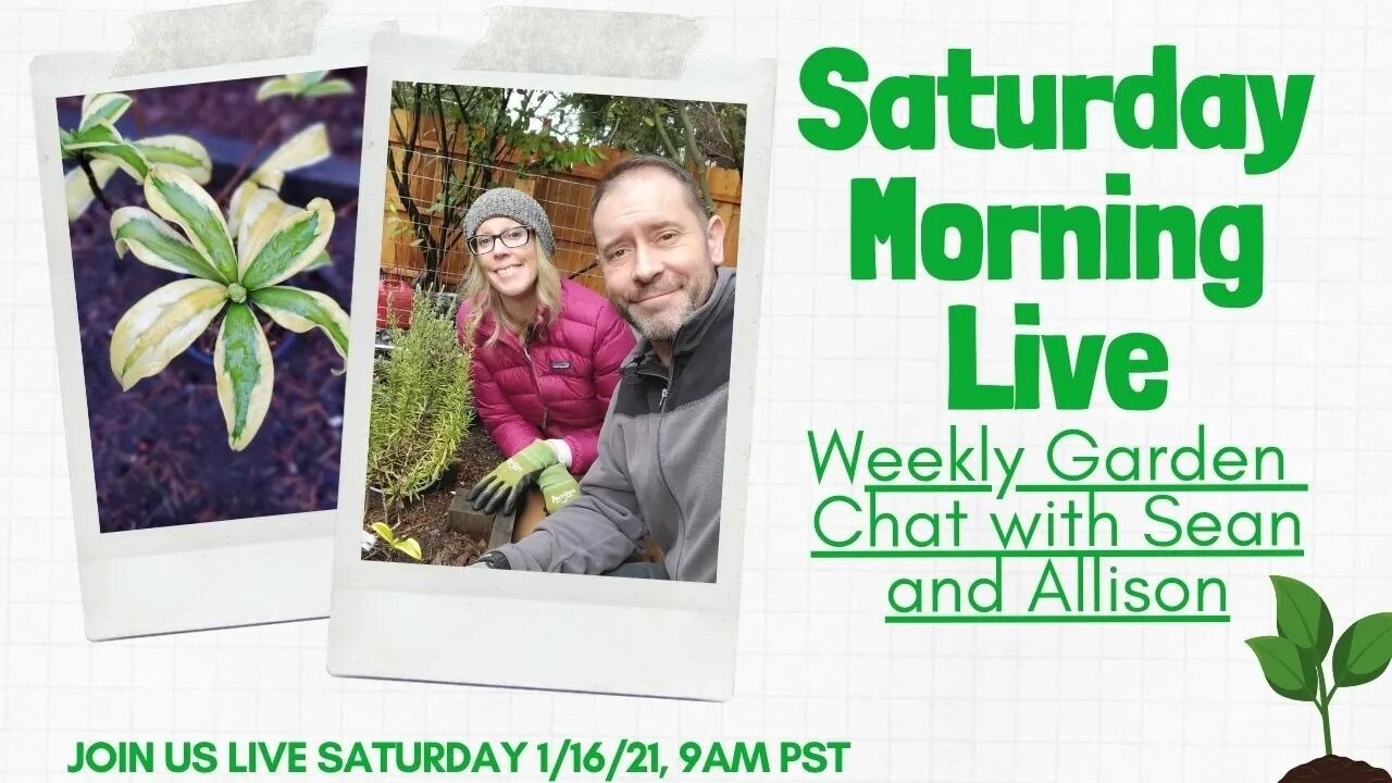 ☕ Saturday Morning LIVE Garden Chat - SGD 293 ☕