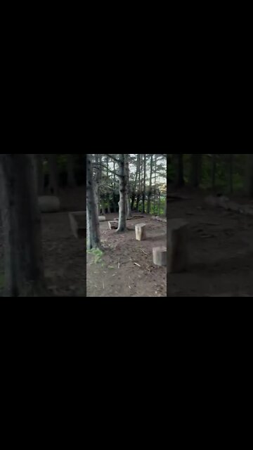 A calm walk on a trail