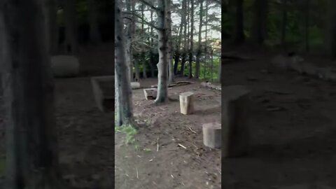 A calm walk on a trail