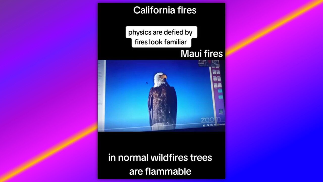 AN EXPERT ON TREES & HOW THE BURN WEIGHS IN ON THE RECENT CALIFORNIA FIRES & HOW THEY RELATE TO MAUI