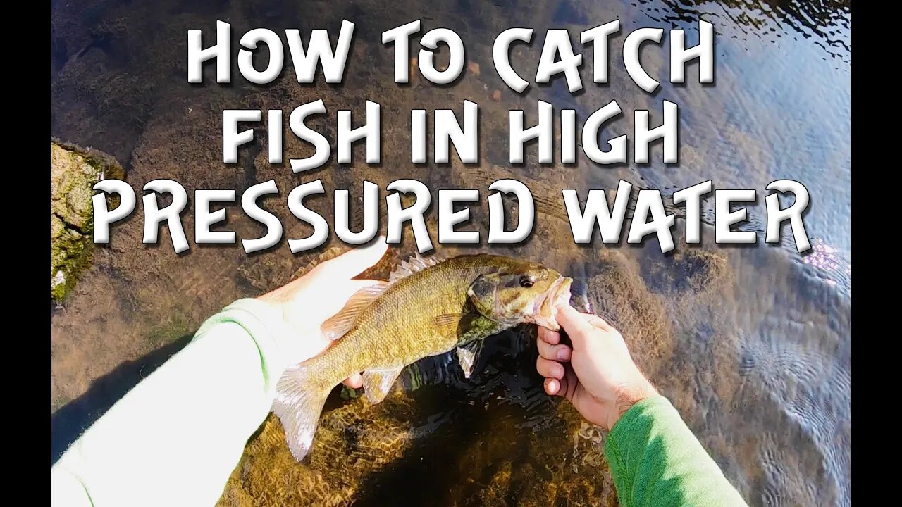 How to find and catch fish in PUBLIC parks. (High pressure fishing!)