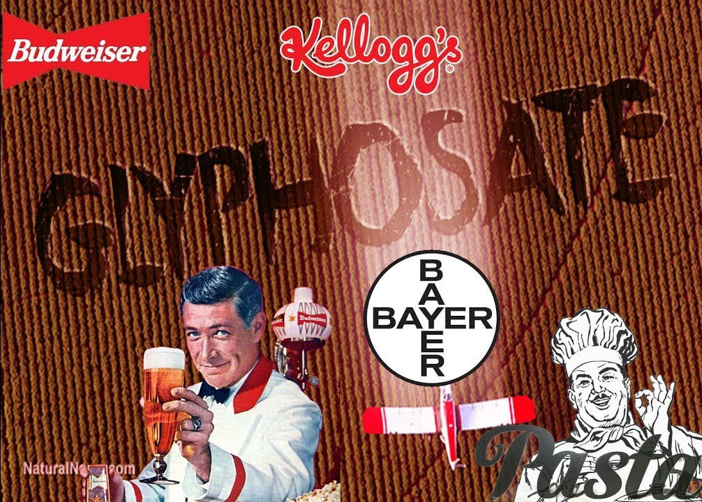 Bayer, Glyphosate, Beer Wine & Pasta