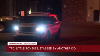 Boy dies after stabbing