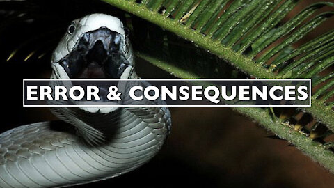 Error and Consequences